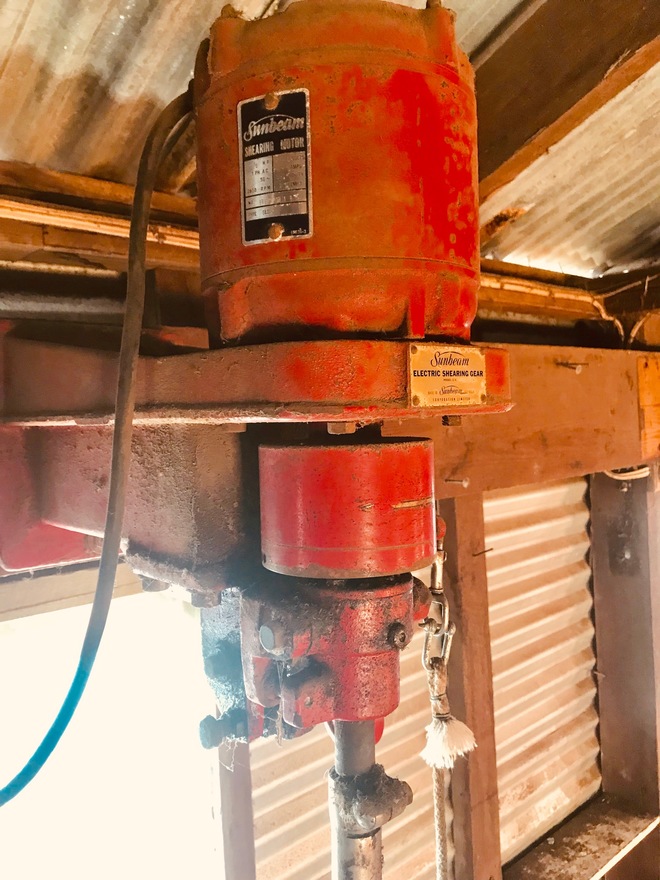 sunbeam shearing plant Livestock Equipment Shearing Equipment